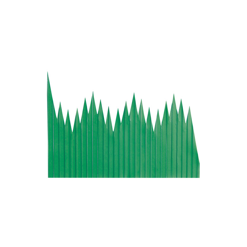 Sanbon-sugi  Baran No.1 / Green